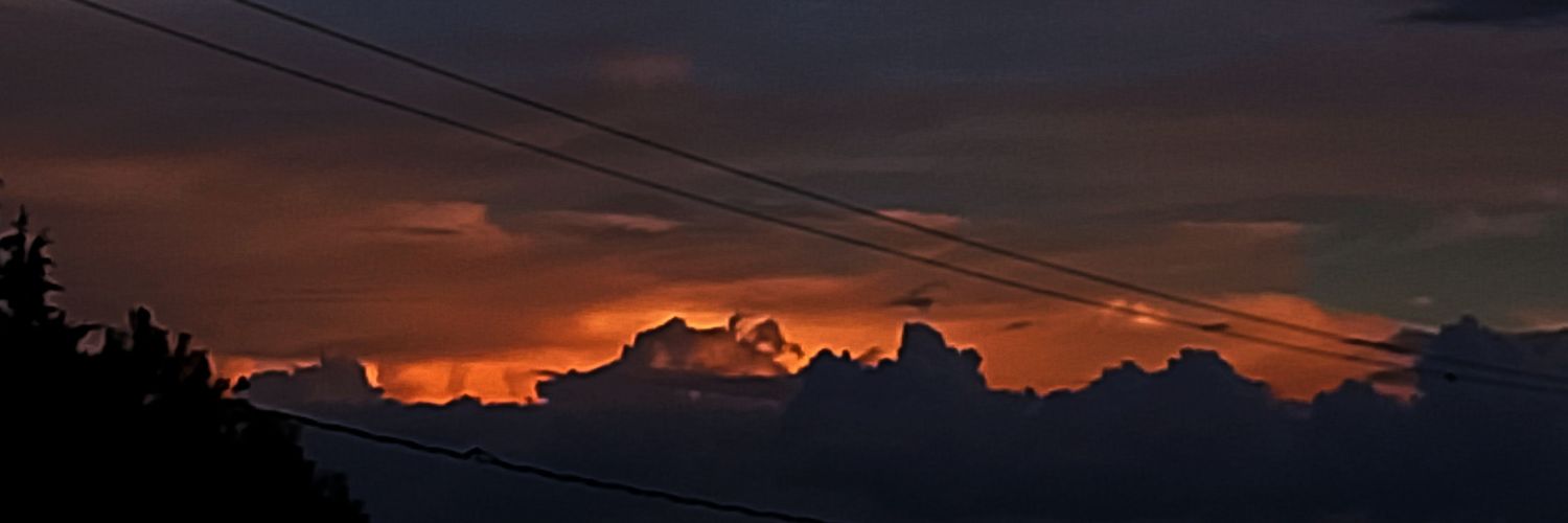 Zzidy_'s profile banner image