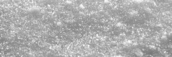 willszal Profile Banner