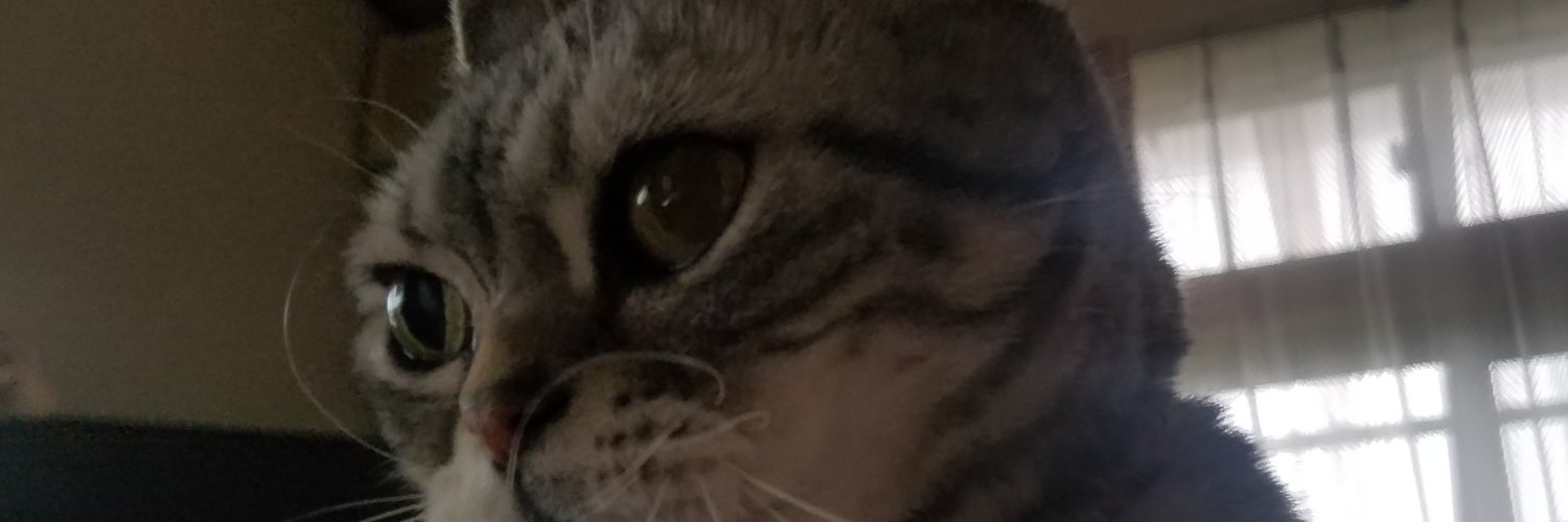 moko0603's profile banner image