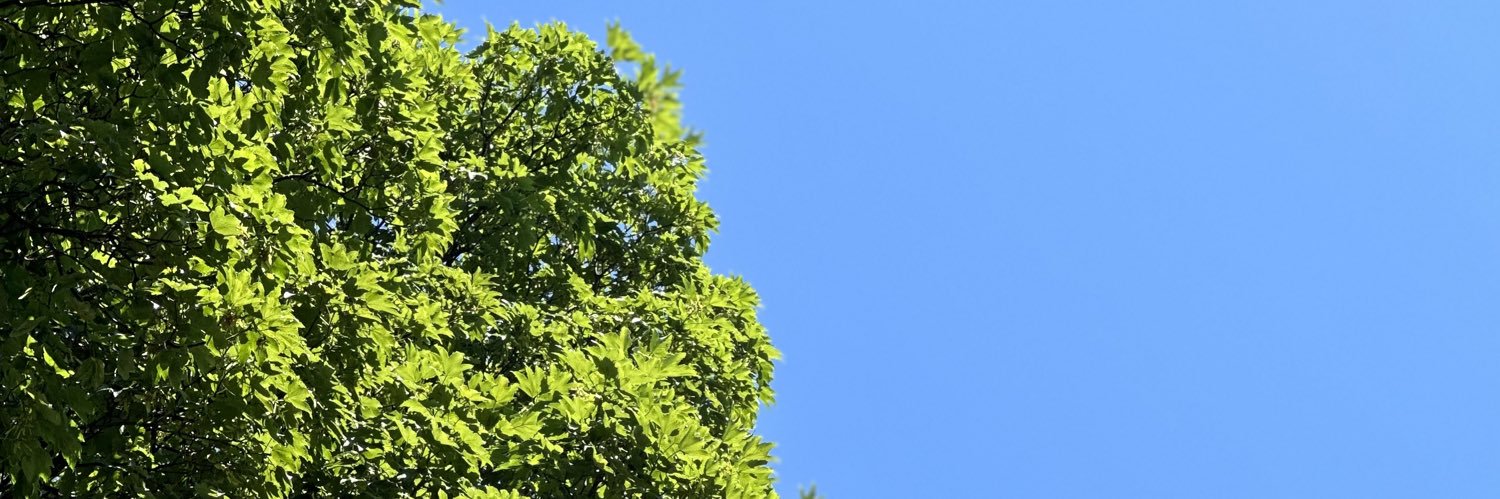 DeKinderPsych's profile banner image