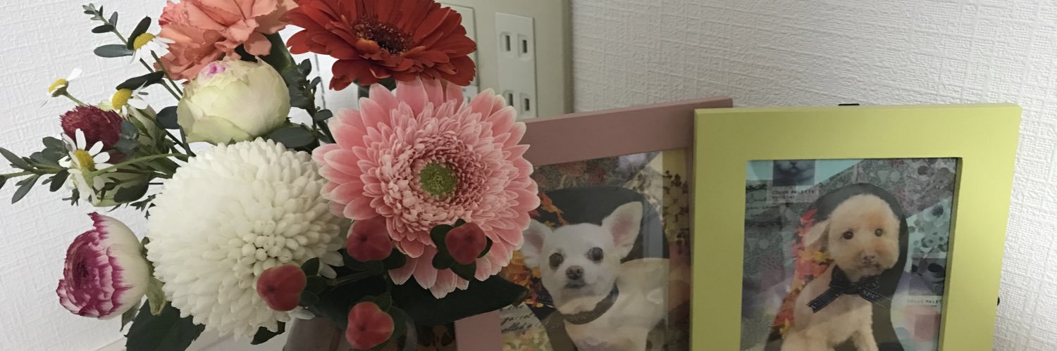 hanoko_55's profile banner image