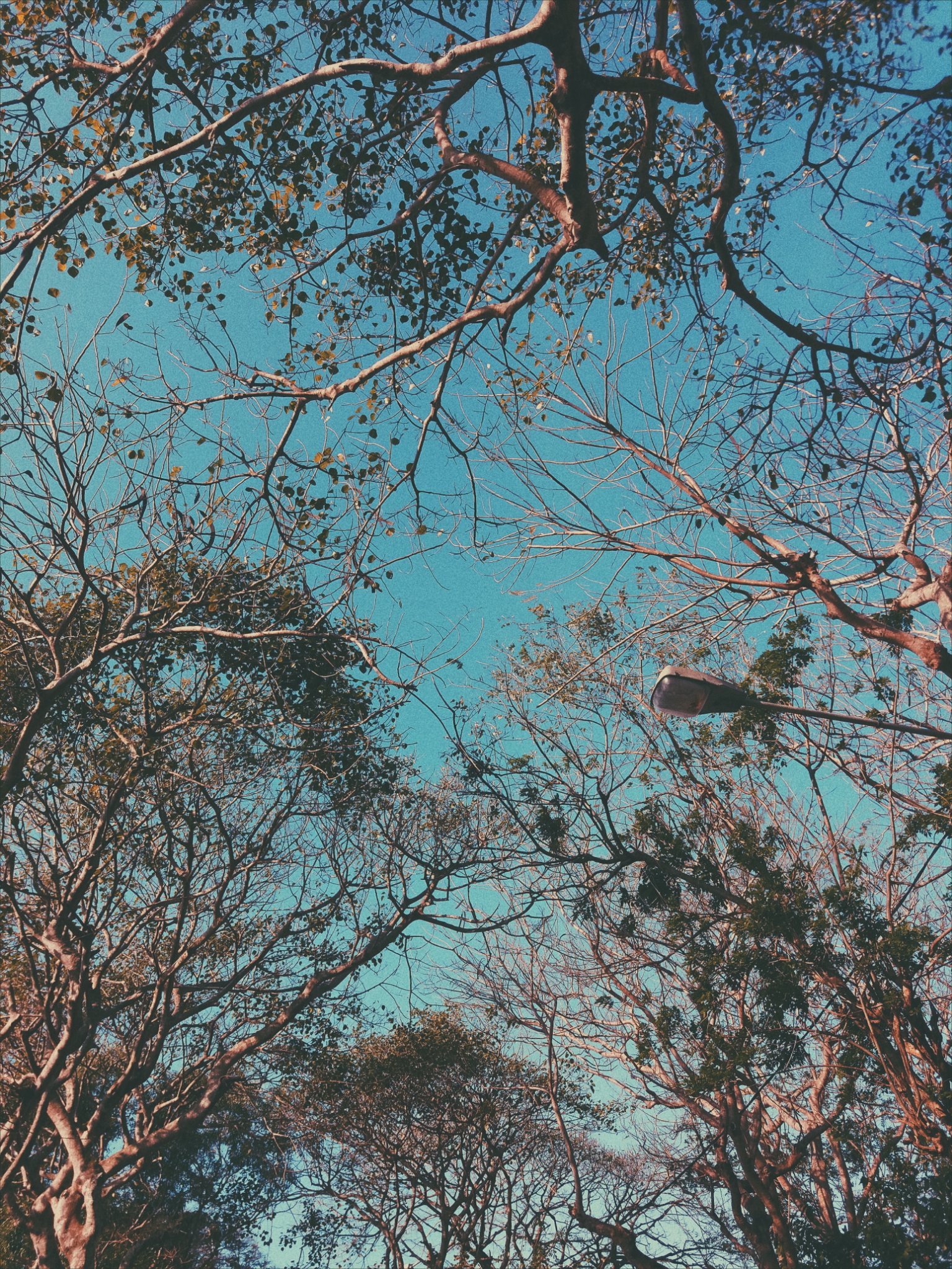 dedewinesthi's profile banner image