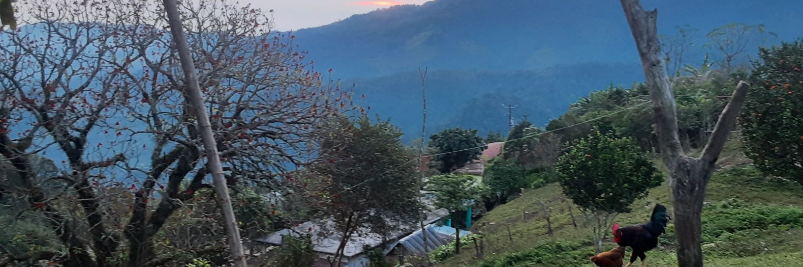 rauldlc13's profile banner image