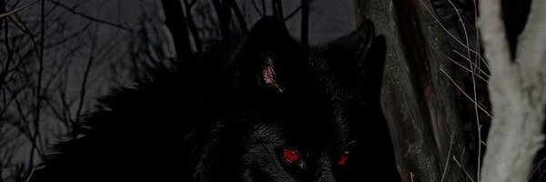 4everNightmares Profile Banner