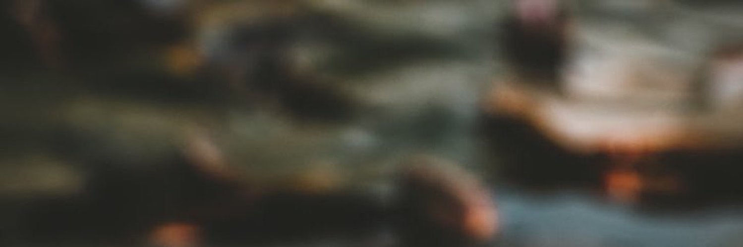 Satguru banner
