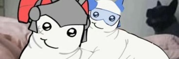 💤 katt banner