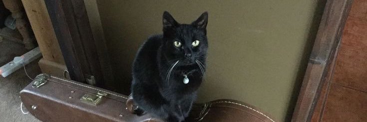 Ame ,,🦌🫧🌘 banner