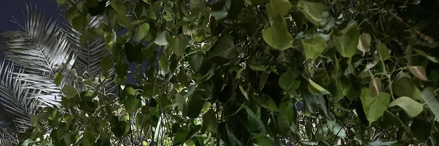 Mmmnotsure's profile banner image