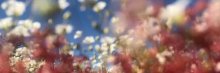 annaetucker's profile banner image