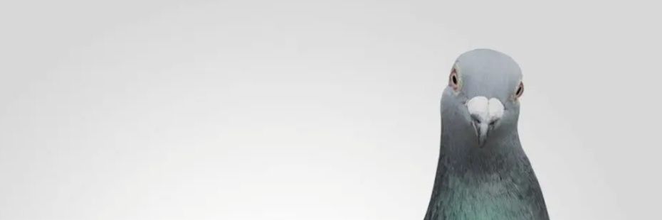 Rebirthuk's profile banner image