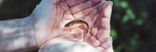 Cermaq Profile Banner