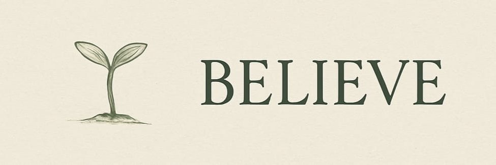 Seedlingsxyz's profile banner image