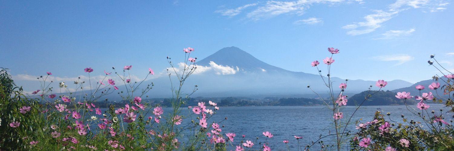 nanoni_223's profile banner image