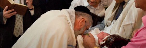 Dr. Steinbergowitz banner