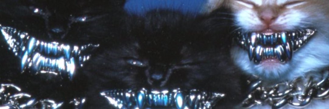 Drovi banner