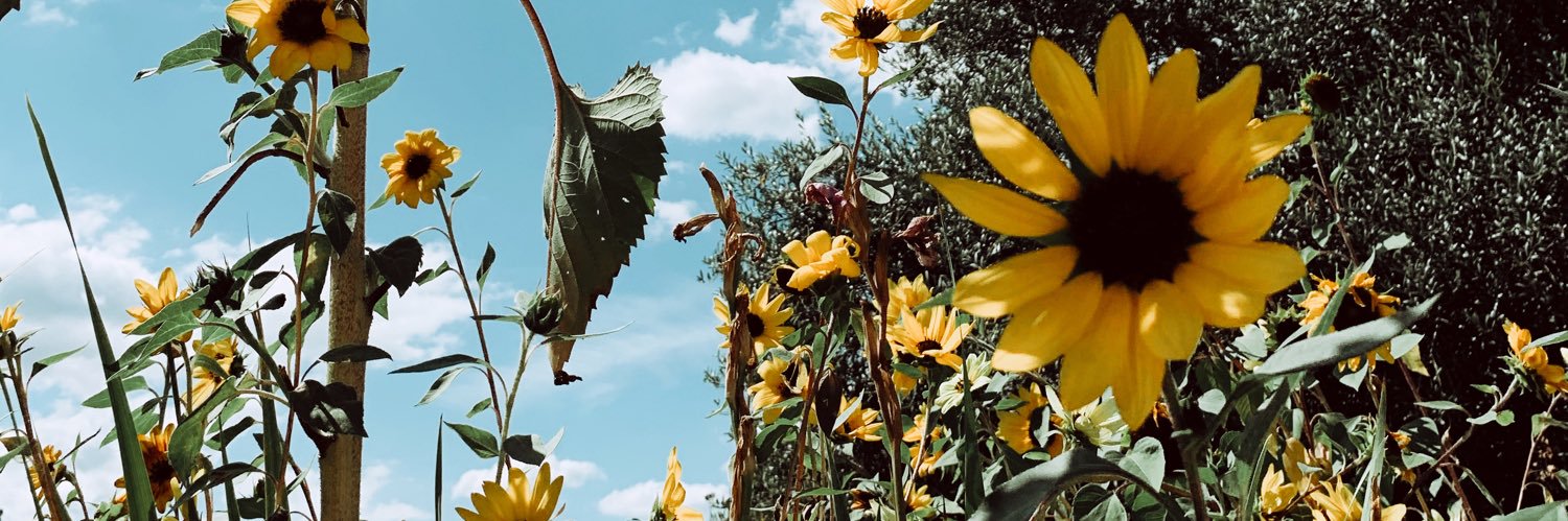 DeGimbernat's profile banner image