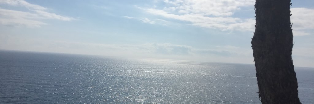 Conn_Marie7's profile banner image