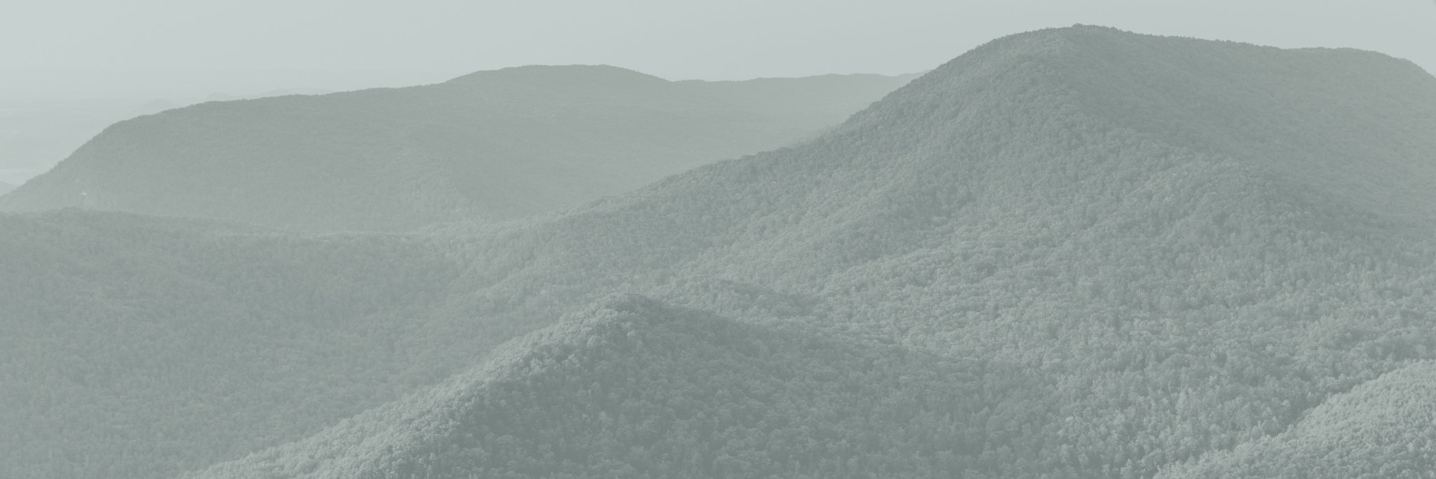 waltalexander's profile banner image