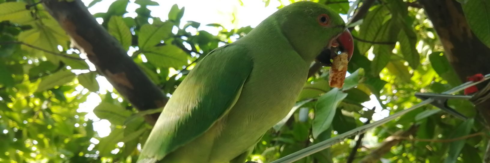 bindaasrakesh's profile banner image