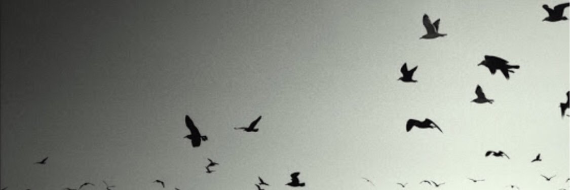 alkmiray's profile banner image