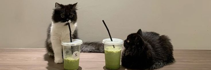 𝖄𝖚𝖑𝖎𝖆𝖓 𝕶𝖗𝖎𝖘𝖙𝖔𝖋𝖔𝖗𝖎 banner