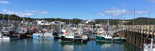 ReveilNETNL Profile Banner