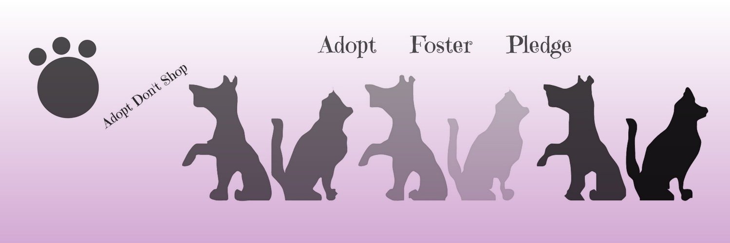 MoValAnimals's profile banner image