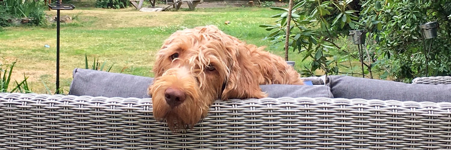 Kath Thacker 💙 banner