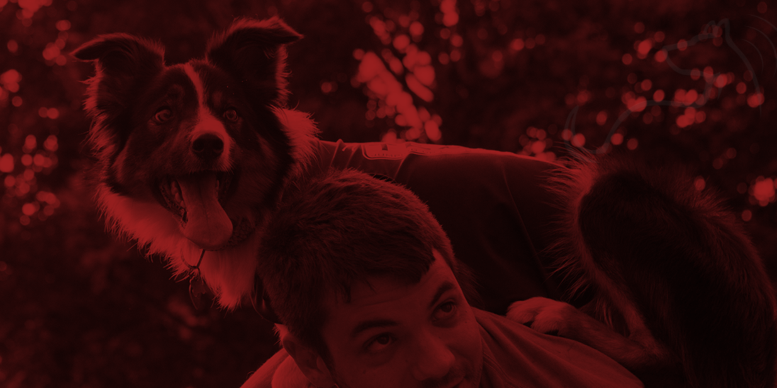 Sit Means Sit - Massachusetts (@SitMeansSit_MA) / Posts / X