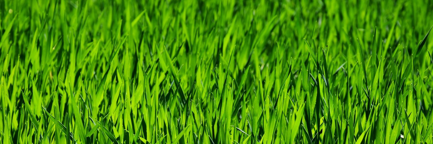 TawPraky's profile banner image