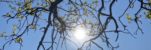 Mart10b Profile Banner