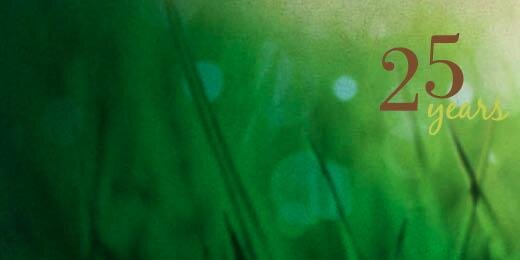 DaStegink's profile banner image