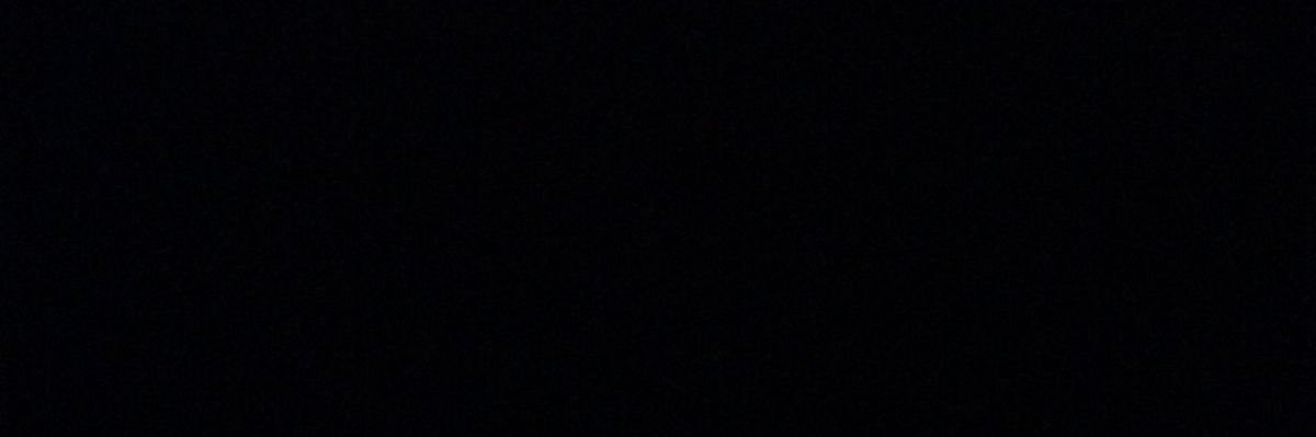 위대한 매직버니's banner