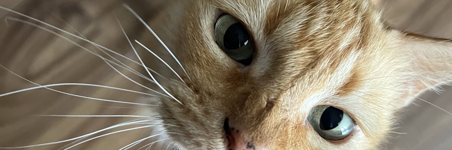 elanirosllan's profile banner image