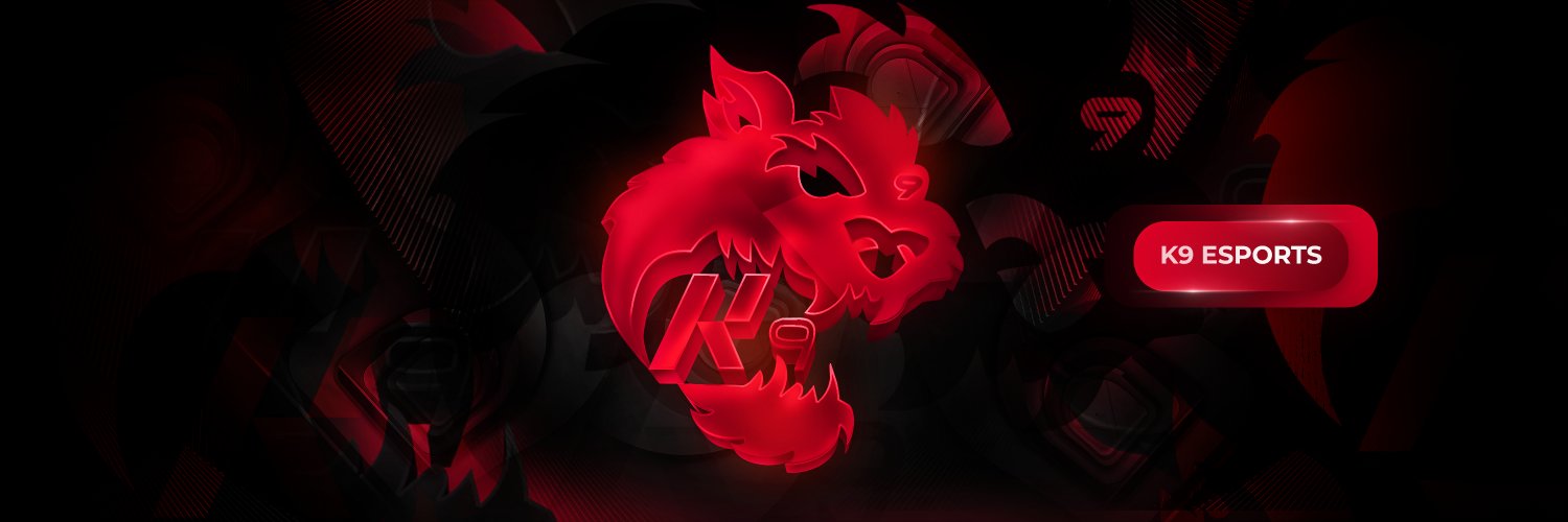 K9 esports banner