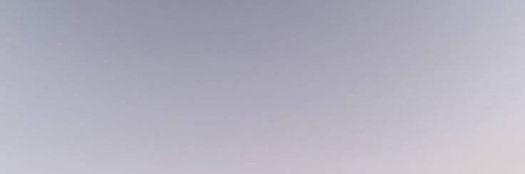 dear reader ₊✿ banner