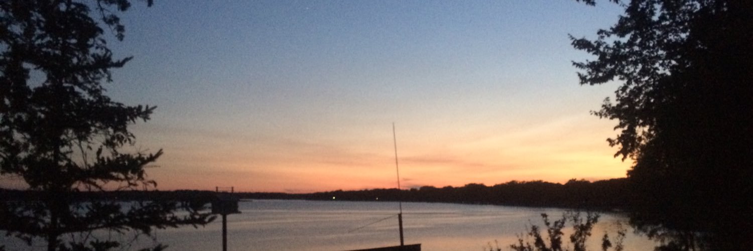 Roisín Nic Daibheid banner