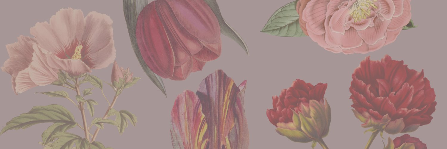 stephstellaa_'s profile banner image