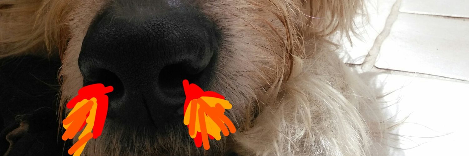 Ospoggle's profile banner image
