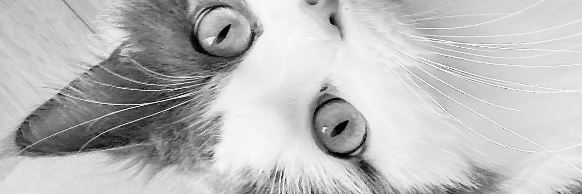 7vbbh's profile banner image