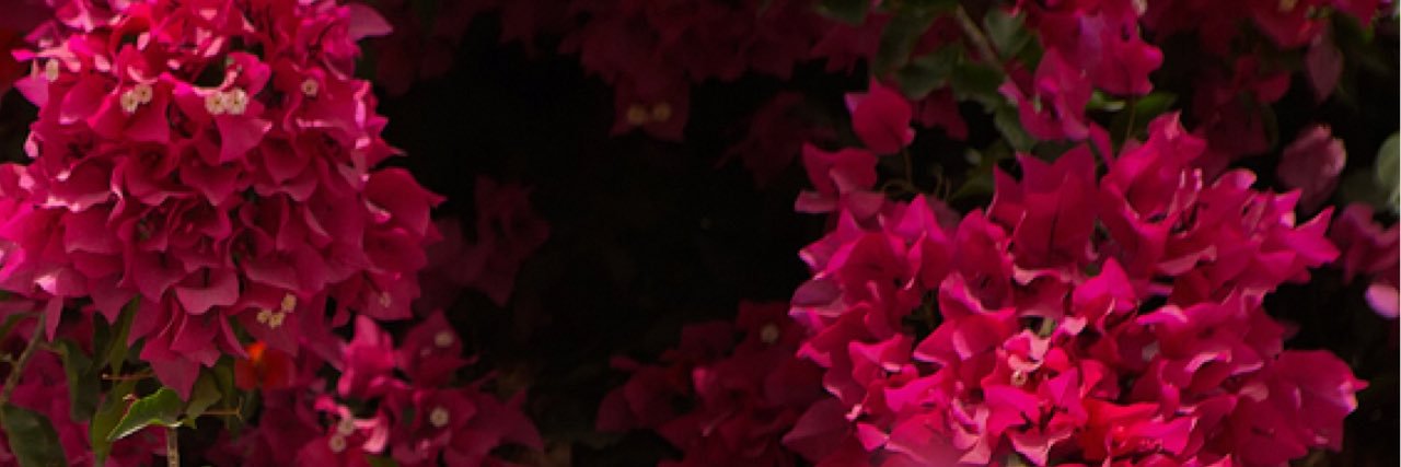 ANOODONNA's profile banner image