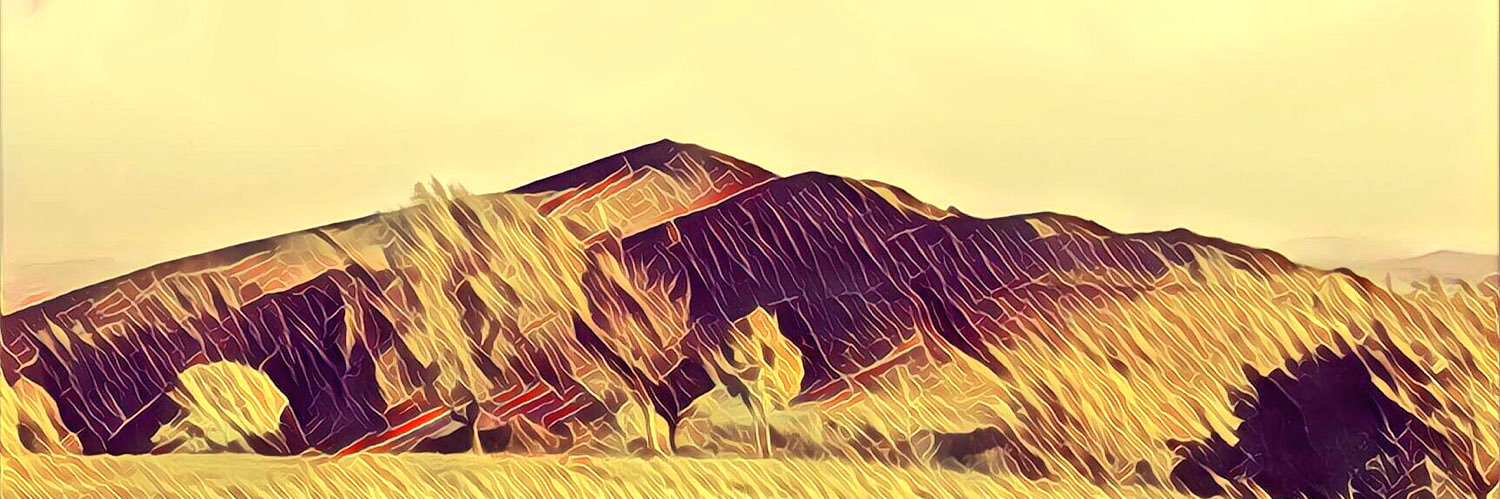 _fishywishy's profile banner image