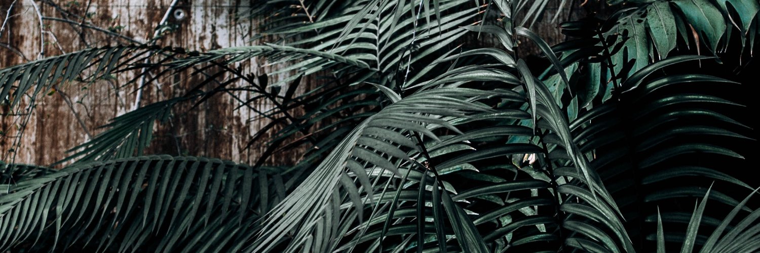 veltask's profile banner image