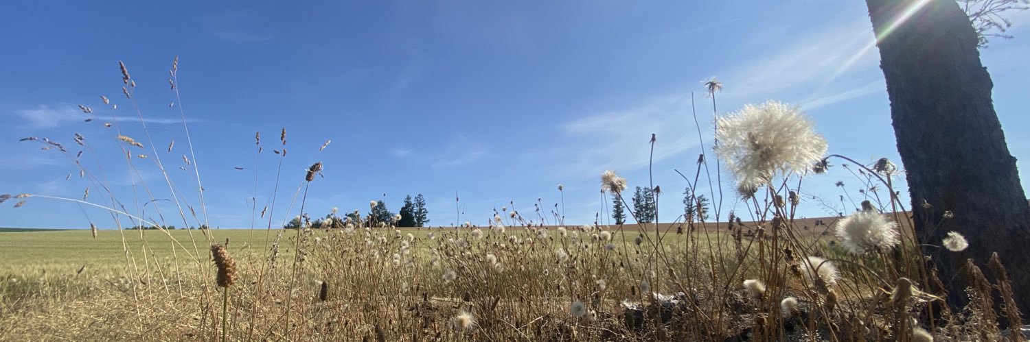 bota_web's profile banner image