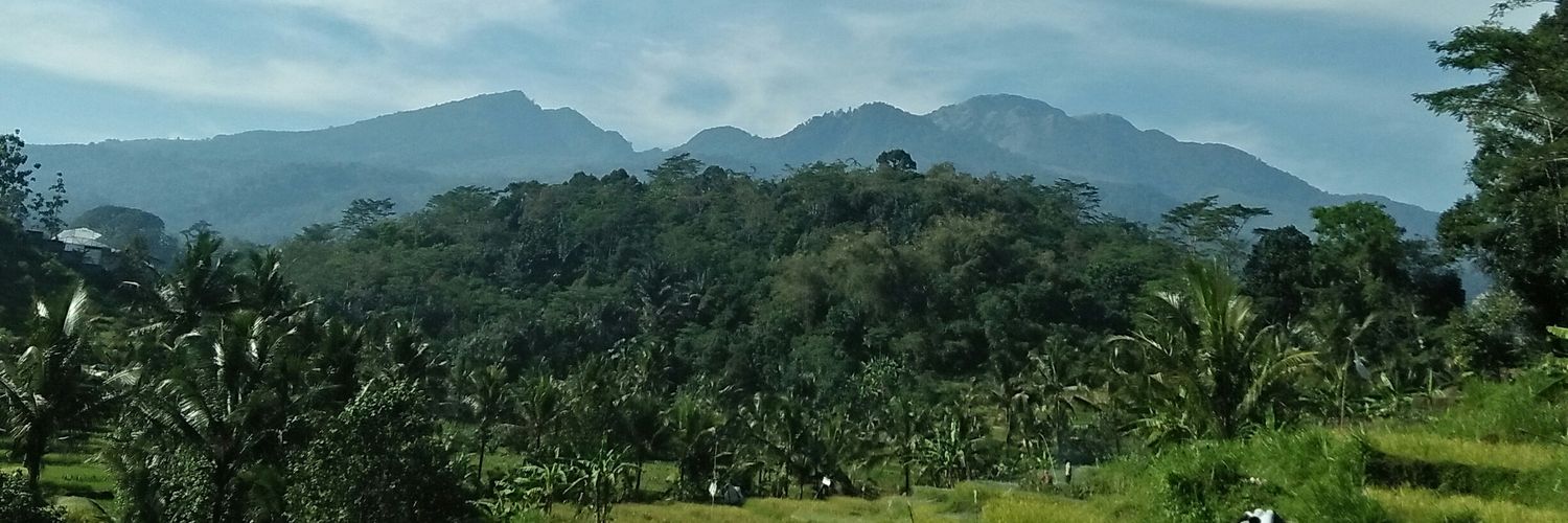 Lilo_Hananto's profile banner image
