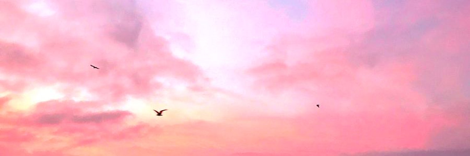 writingdisabled's profile banner image