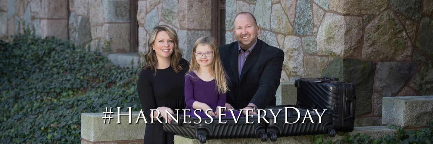 LondonHarness's profile banner image