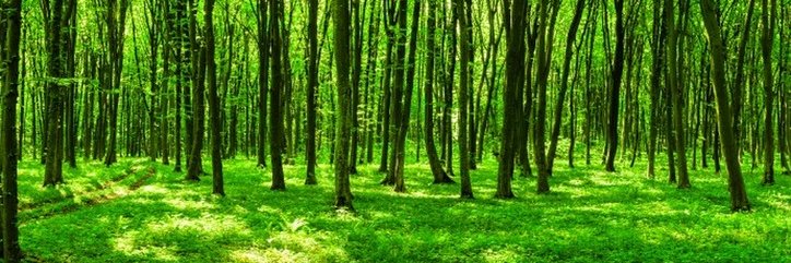 GREENAIRDROP banner