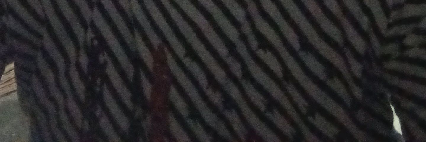 roneivaiaa's profile banner image