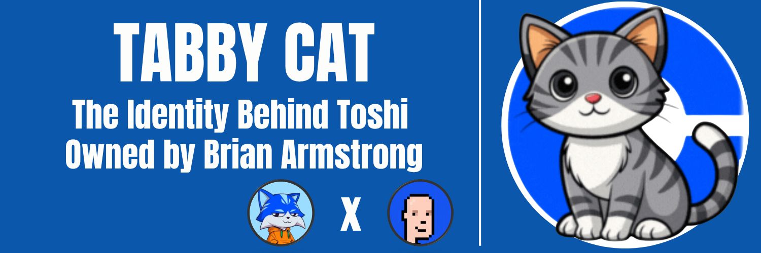 BasedTabby's profile banner image